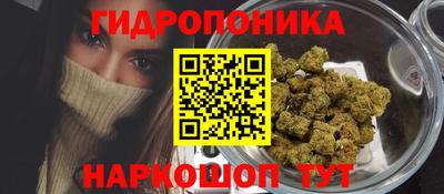 молекула духа Лесосибирск