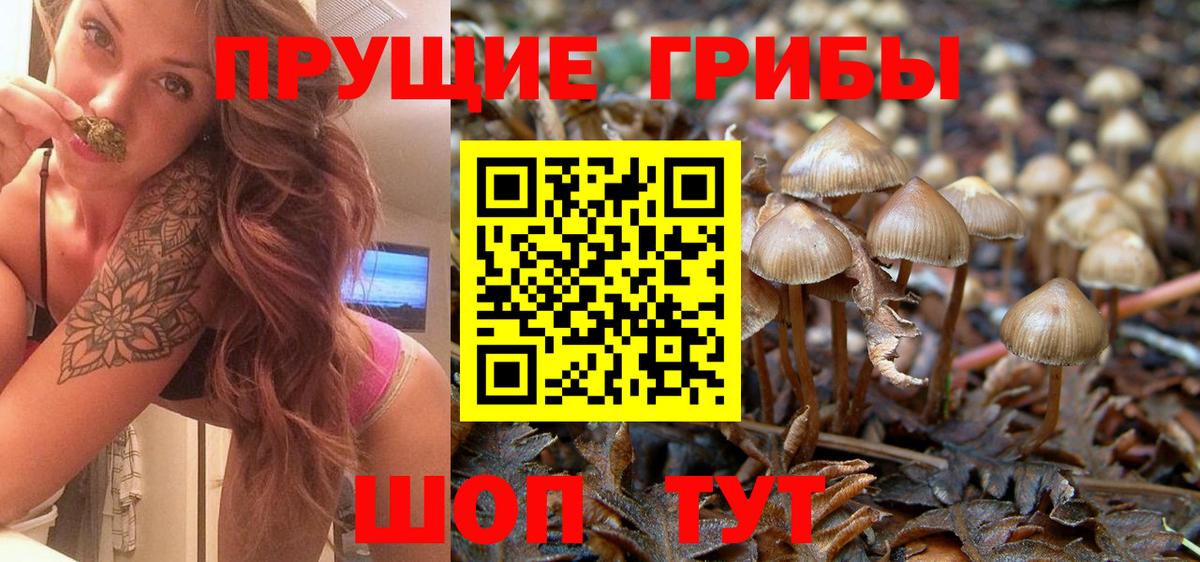 Псилоцибиновые грибы Magic Shrooms  Псилоцибиновые грибы Psilocybine cubensis  Казань  Вход с VPN 