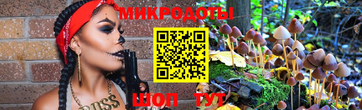 Псилоцибиновые грибы Cubensis Казань